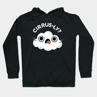 Cirrusly Cute Weather Cirrus Cloud Pun Hoodie